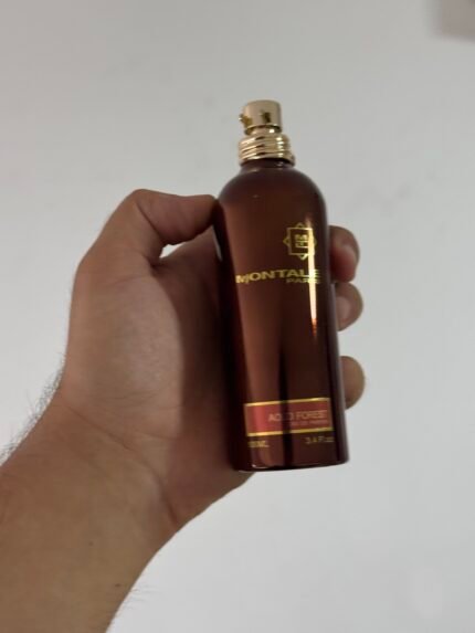 Montale Aoud Forest EDP